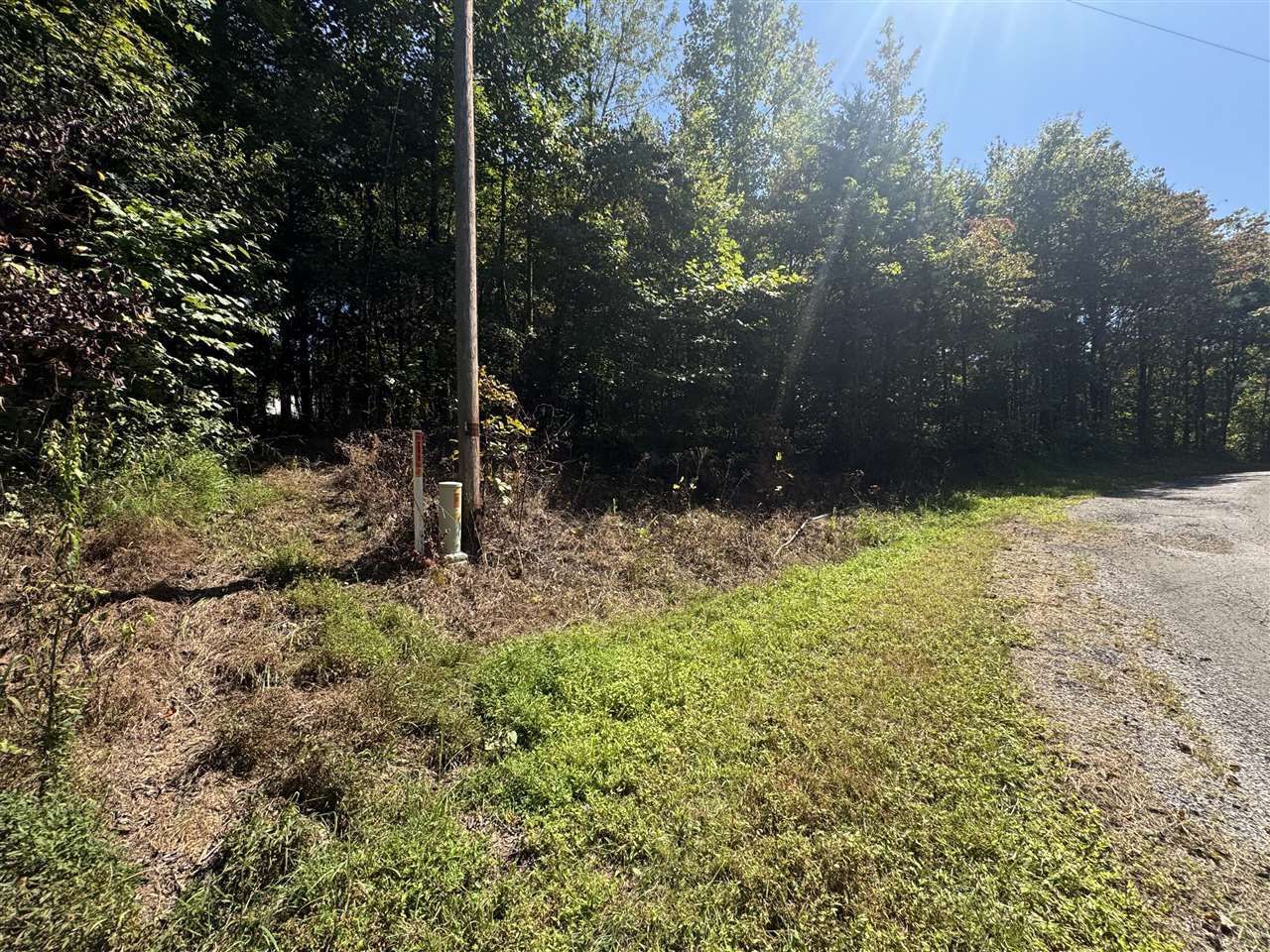 Lot 16 And 17 Runaway Drive, Fountain Run, KY 42133 Main Photo