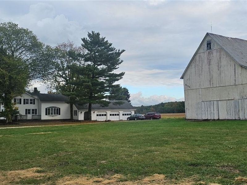 6162 Spieth Road, Medina, OH 44256 Photo 3