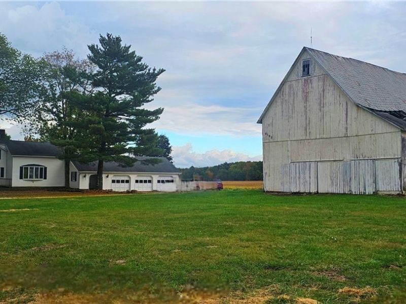 6162 Spieth Road, Medina, OH 44256 Photo 7