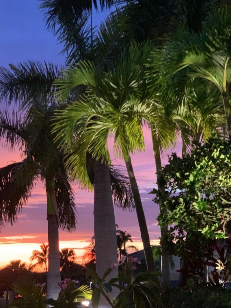 400 S Us Highway 1, Unit 104, Jupiter, FL 33477 Photo