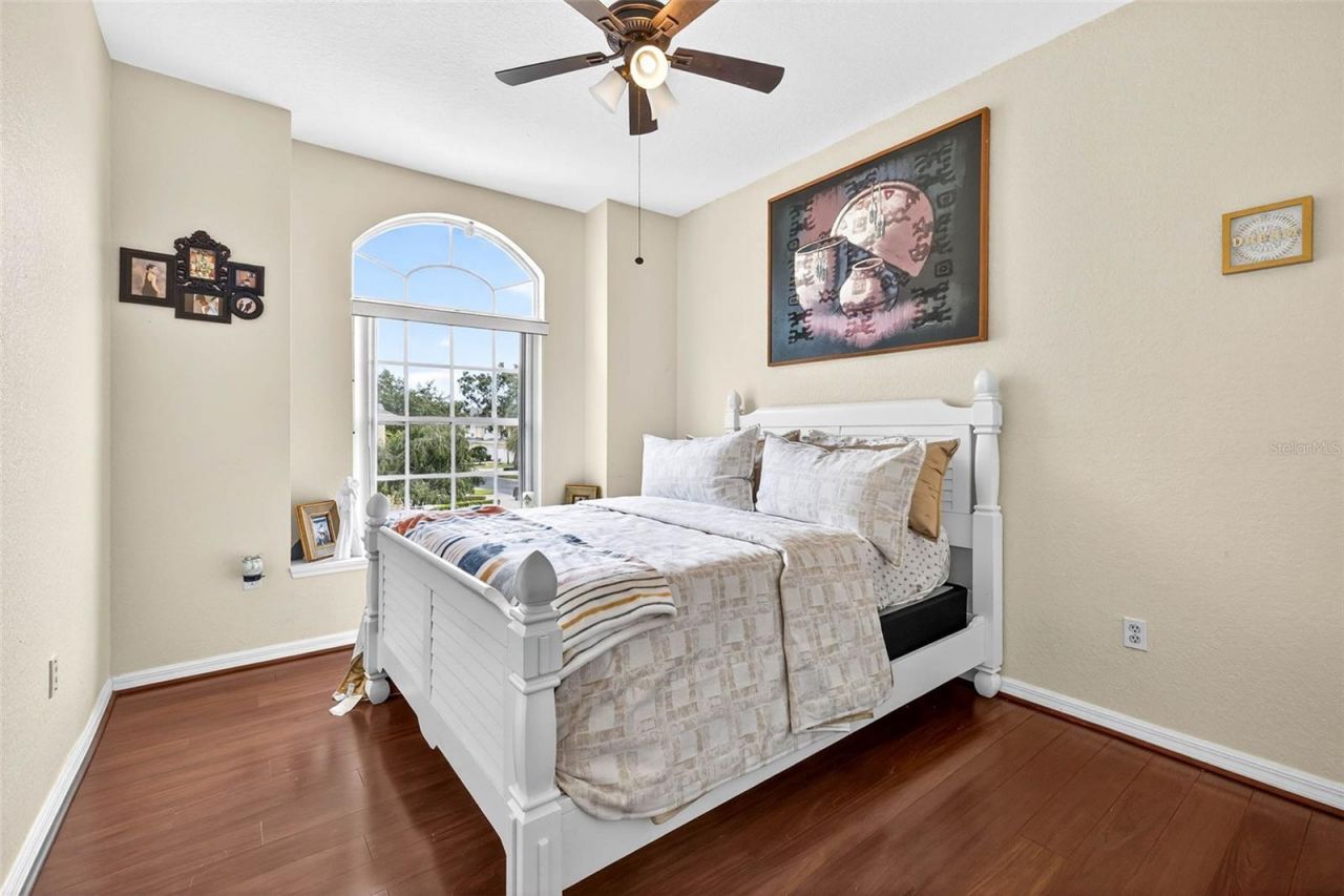 3408 Primrose Way, Palm Harbor, FL 34683 Photo
