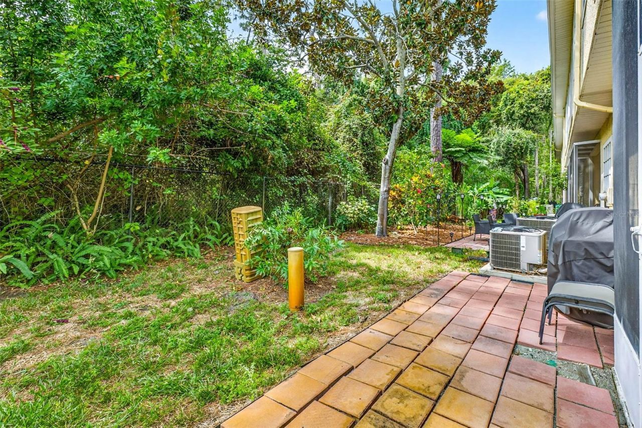 3408 Primrose Way, Palm Harbor, FL 34683 Photo