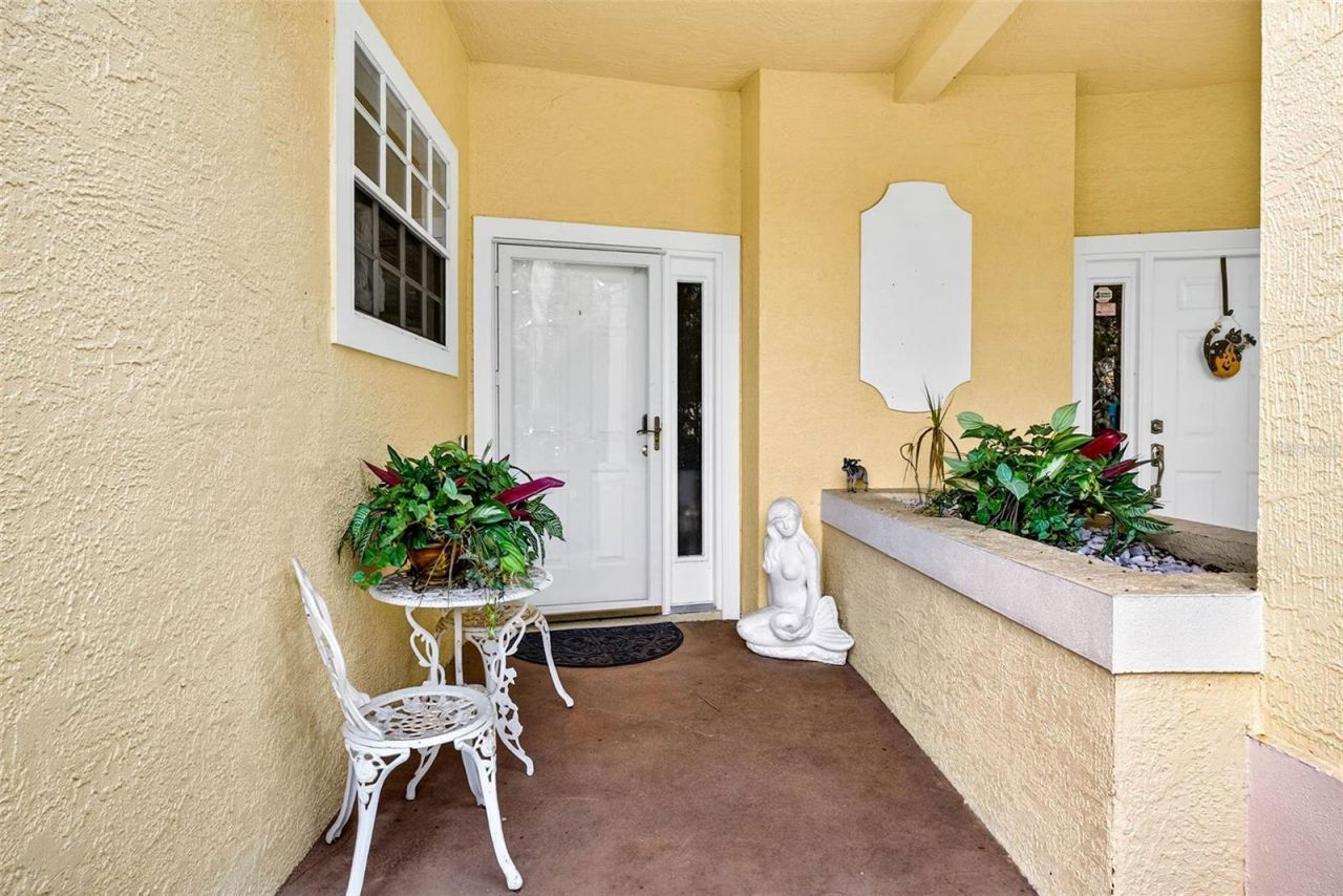 3408 Primrose Way, Palm Harbor, FL 34683 Photo