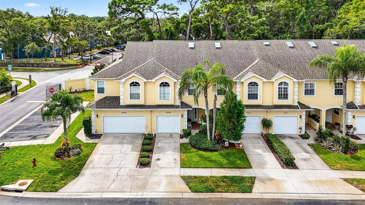 3408 Primrose Way, Palm Harbor, FL 34683 Photo