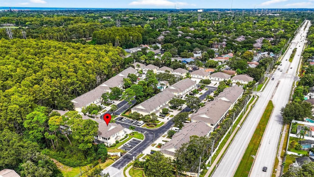 3408 Primrose Way, Palm Harbor, FL 34683 Photo