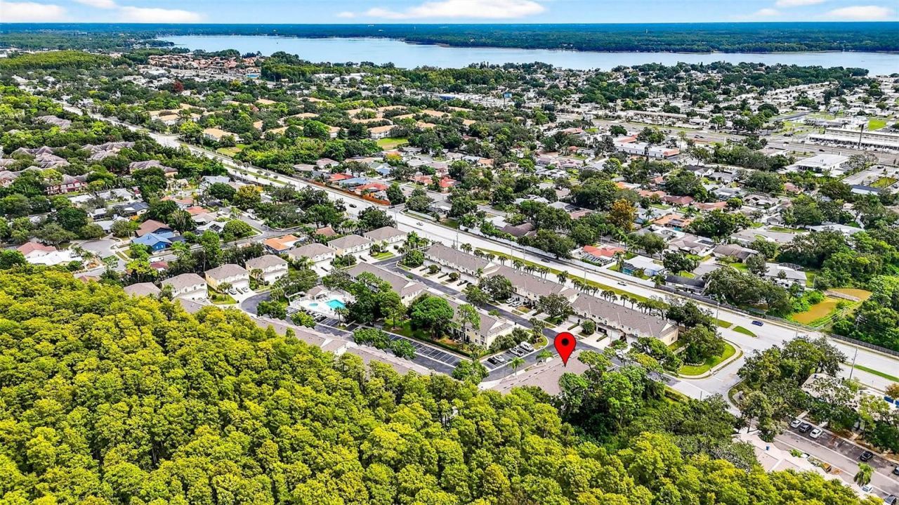 3408 Primrose Way, Palm Harbor, FL 34683 Photo