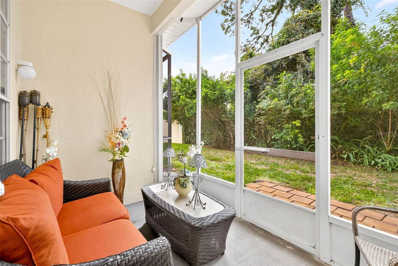 3408 Primrose Way, Palm Harbor, FL 34683 Photo