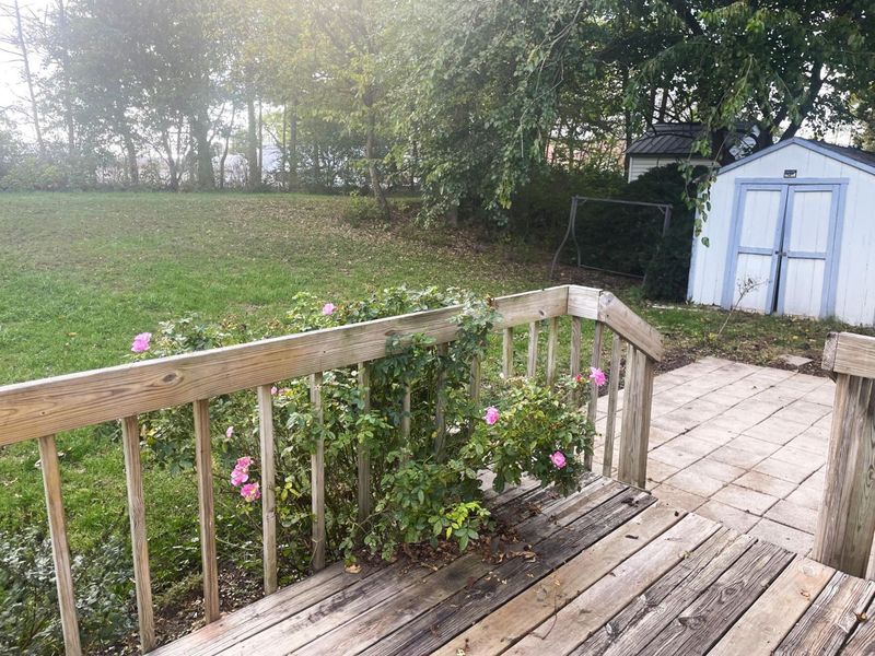 55 Brown Street, Milford Center, OH 43045 Photo 18