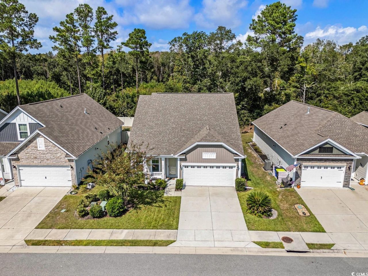 1186 Pyxie Moss Dr. Photo 38