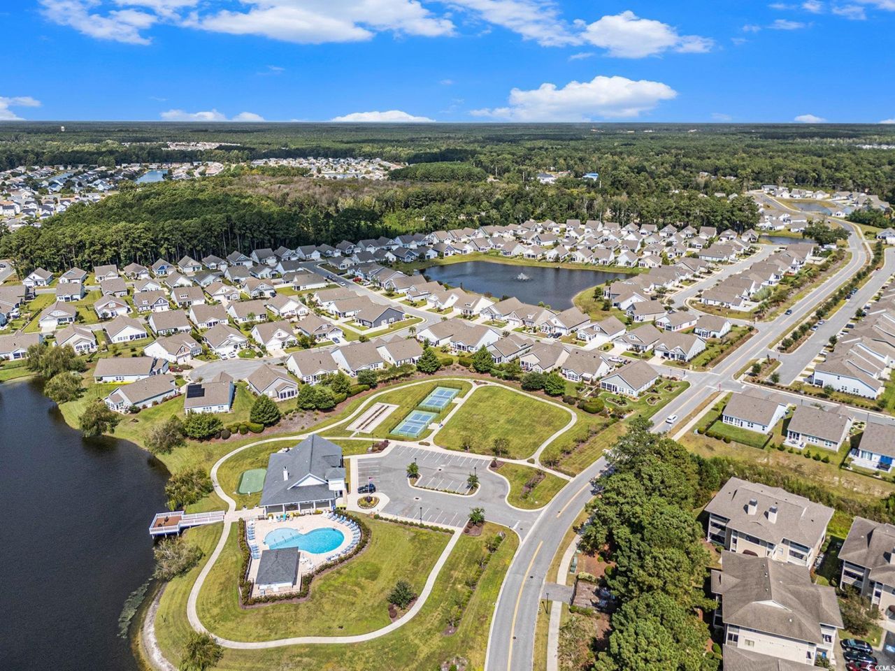 1186 Pyxie Moss Dr. Photo 40