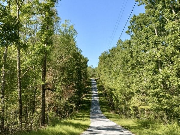 135 Old Hickory Dr, Holladay, TN 38341