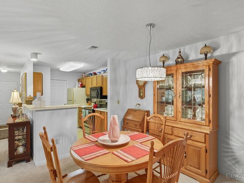 12041 Carrington Lane, Unit 103, Symmes Township, OH 45140 Photo 9