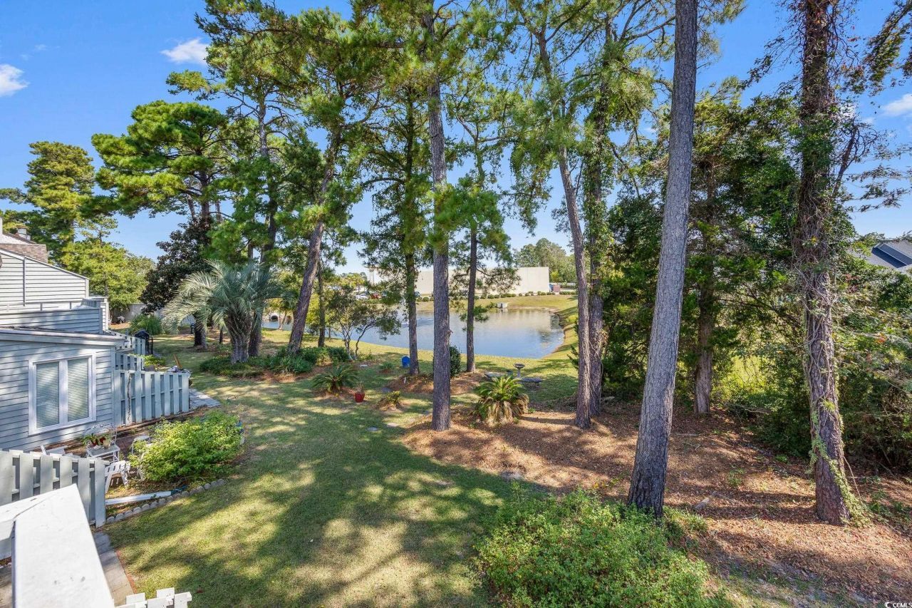 100 Shadow Moss Pl. Photo 23