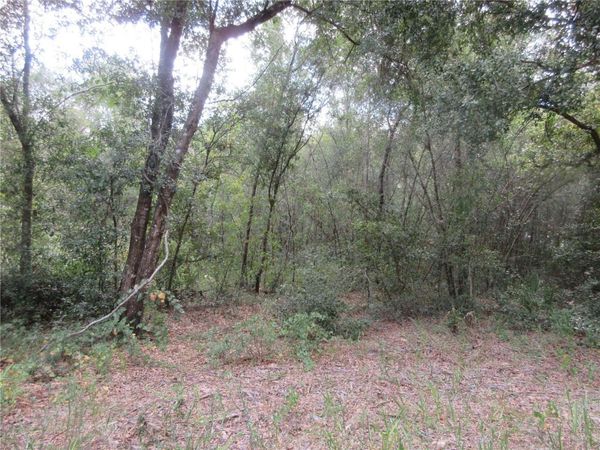 SE 1 LN, SILVER SPRINGS, FL 34488
