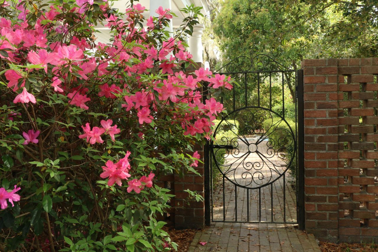 458 Hampton Street Photo 82