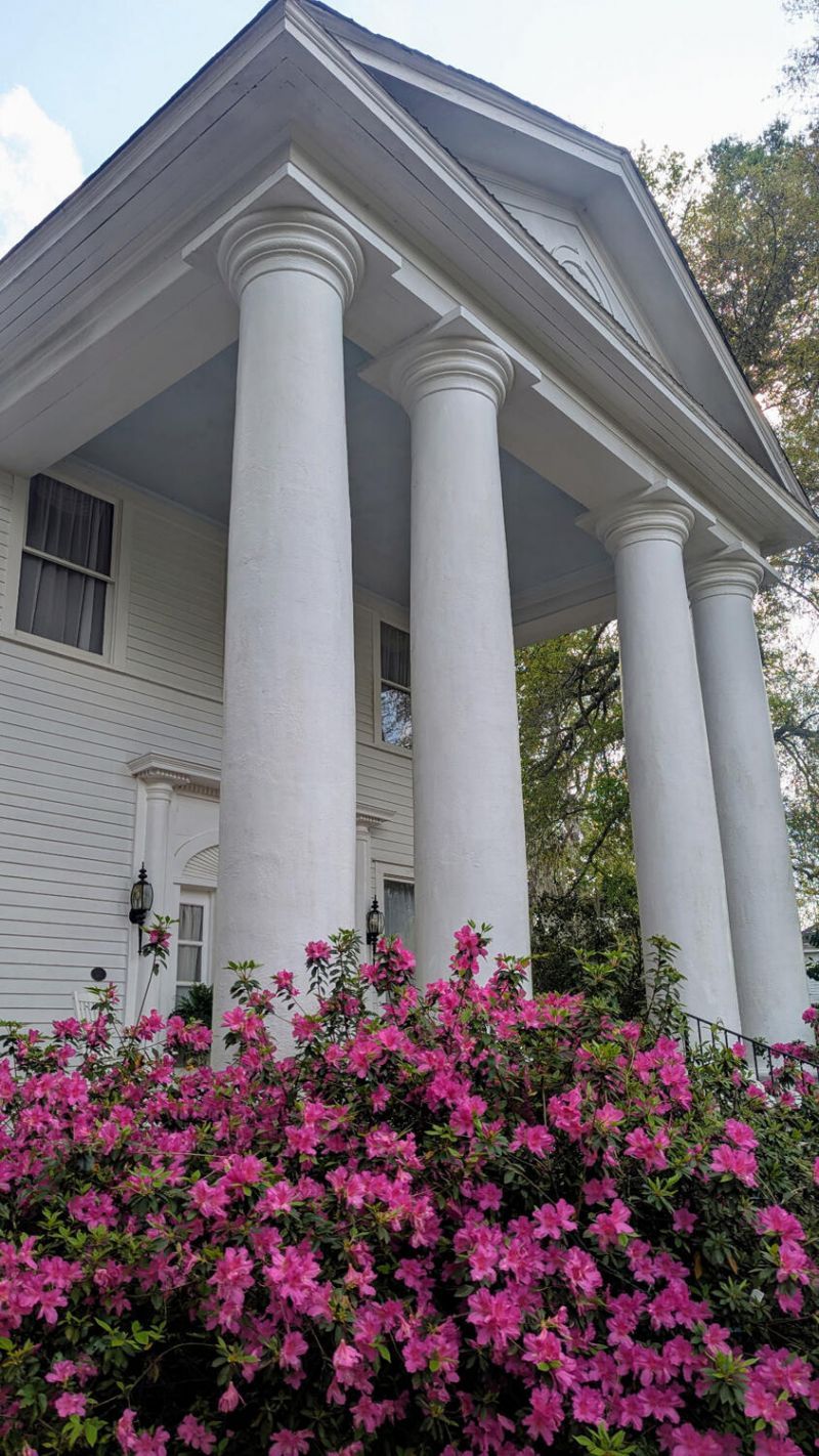 458 Hampton Street Photo 89