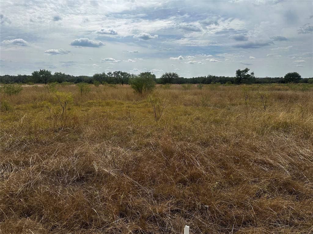 1353 County Road 318, Abilene, TX 79606 Main Photo