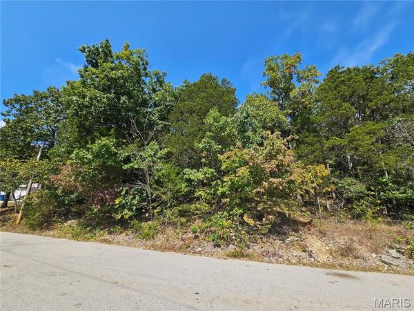 10129 Lake Ridge Drive, Hillsboro, MO 63050