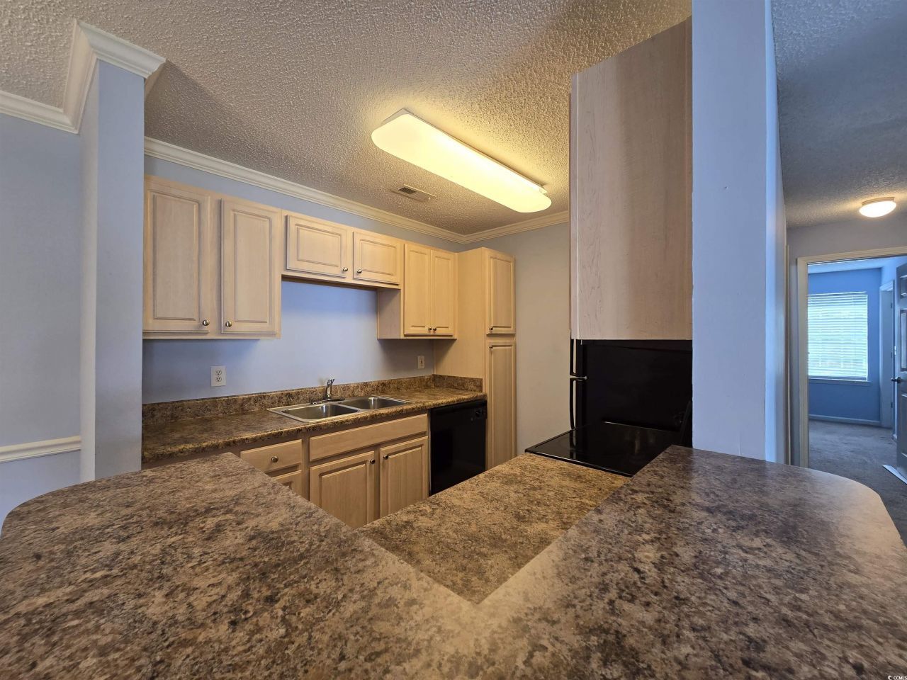 3795 Hitchcock Way Photo 6