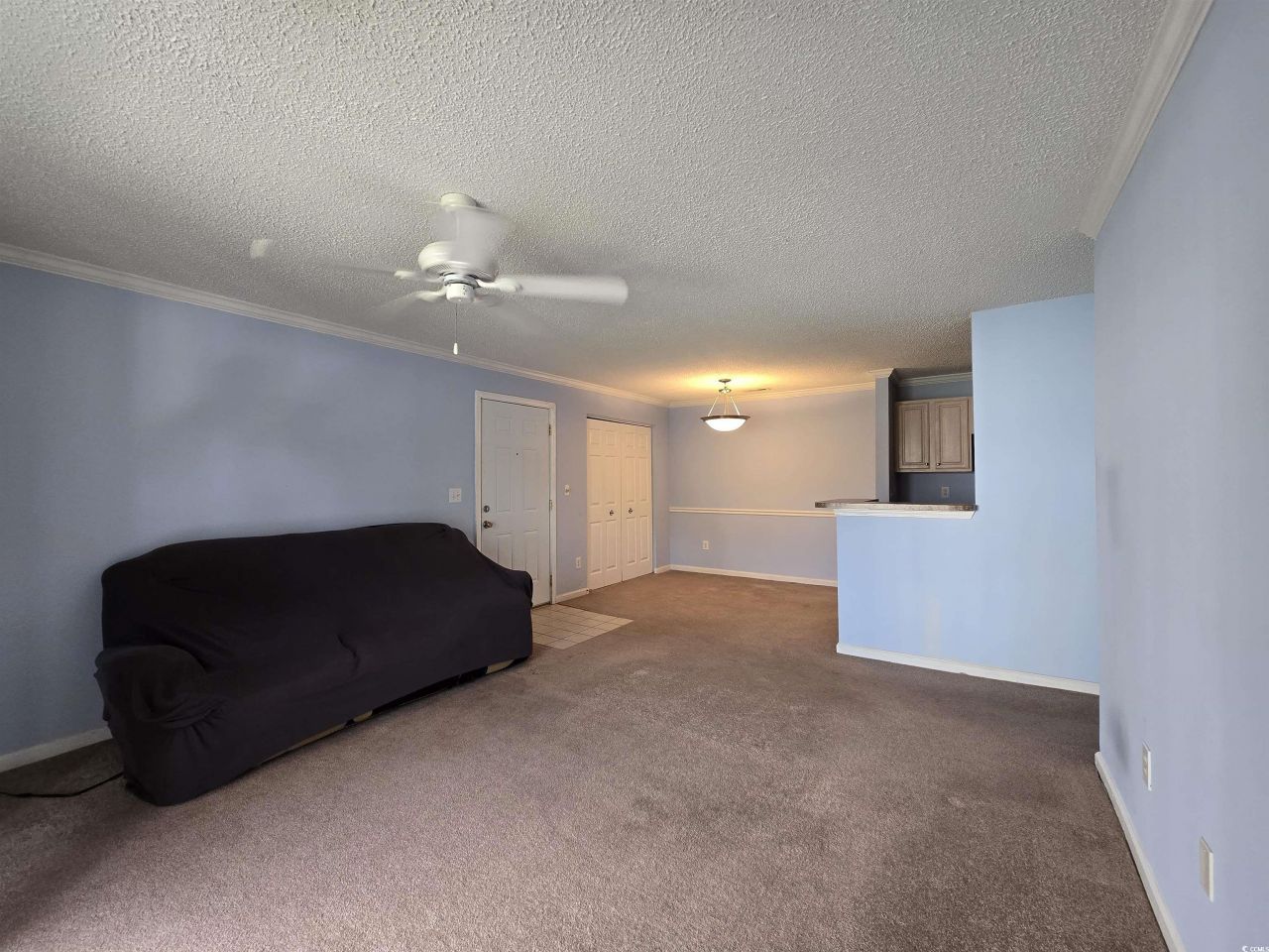 3795 Hitchcock Way Photo 8