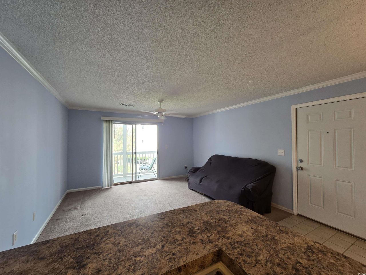 3795 Hitchcock Way Photo 9