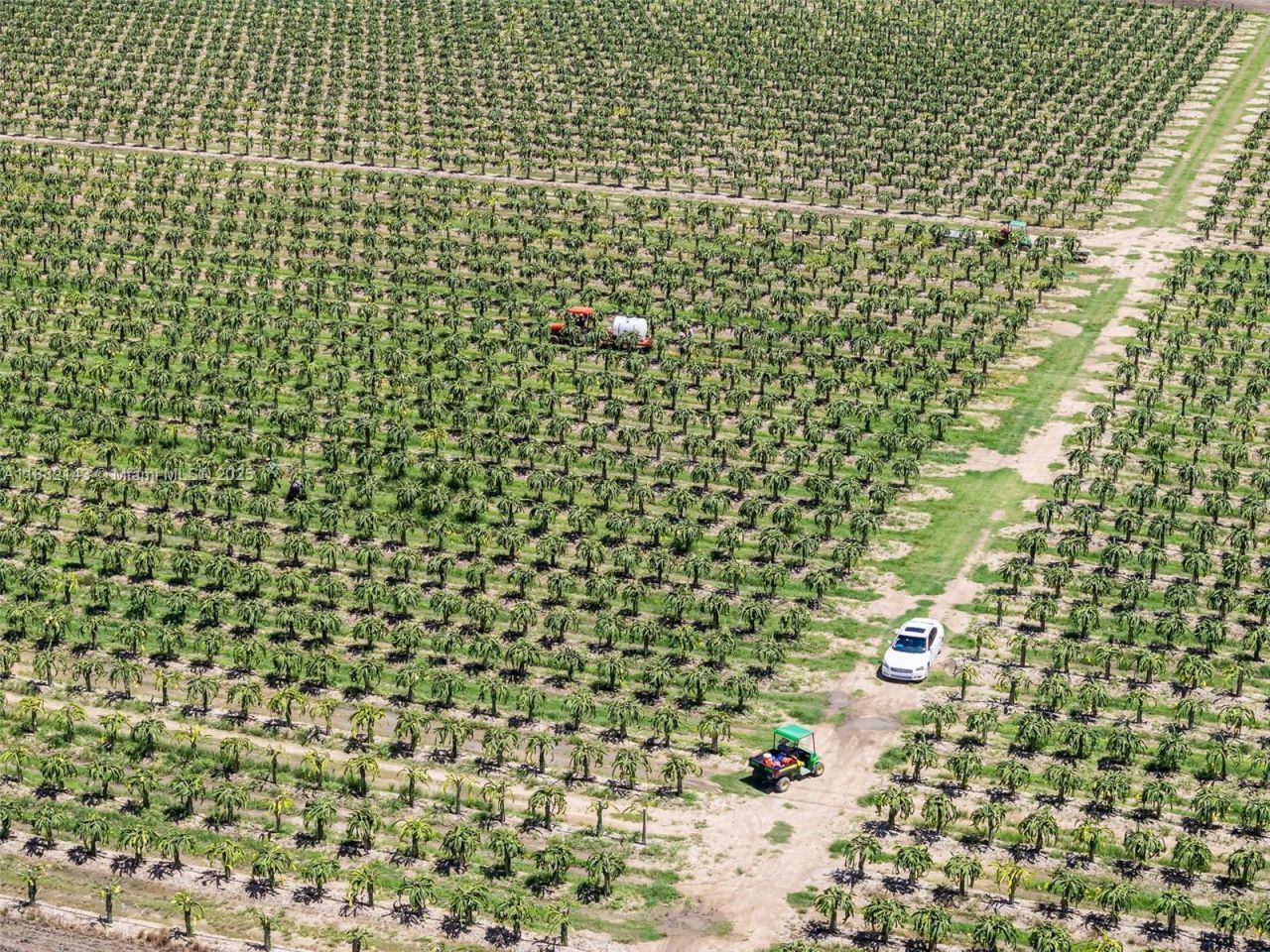 Sw Miami-dade, Miami, FL 33196 Photo