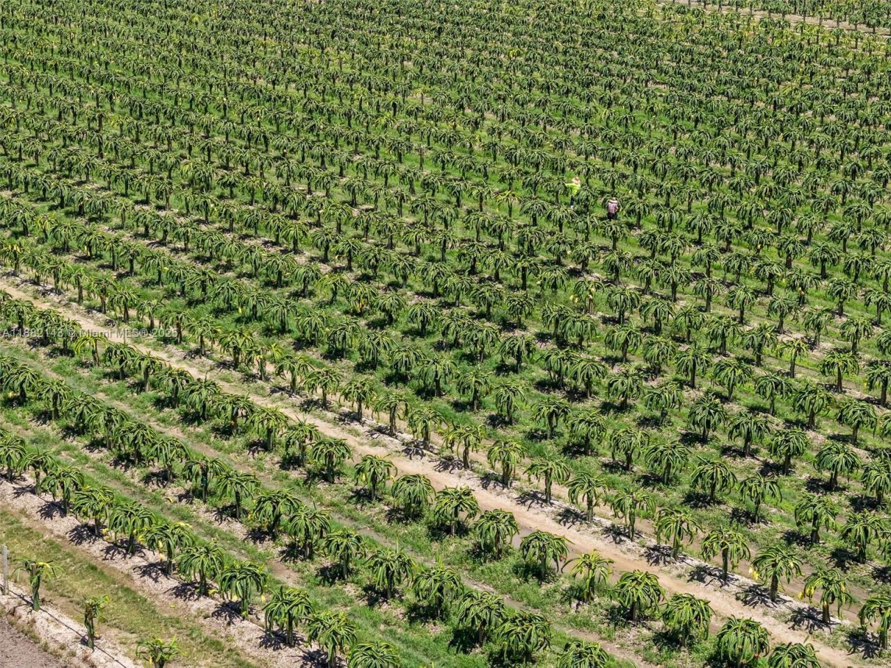 Sw Miami-dade, Miami, FL 33196 Photo