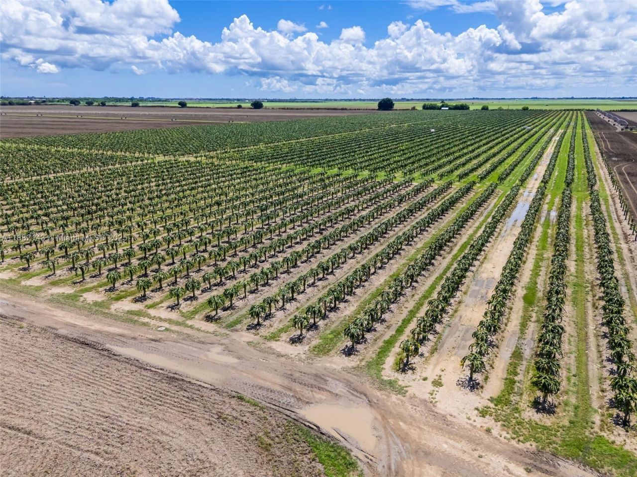 Sw Miami-dade, Miami, FL 33196 Photo