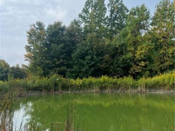 Wattlesburg Road E, Ripley, NY 14775