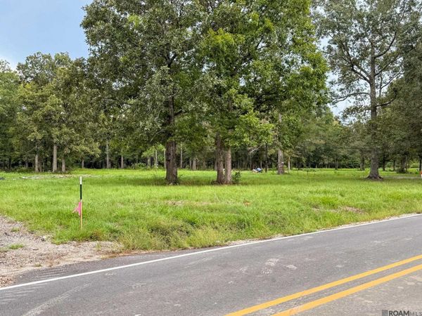 20151 Perrilloux Rd, Livingston, LA 70754