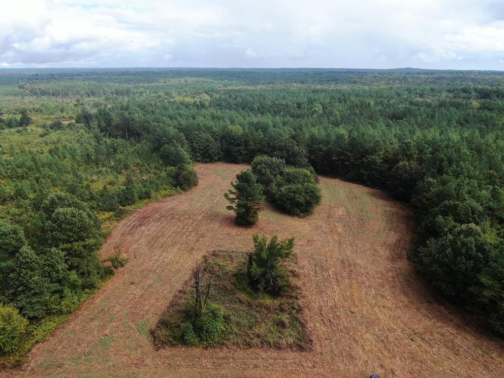 0 Mt. Gilead Road, Holly Springs, MS 38635 Main Photo