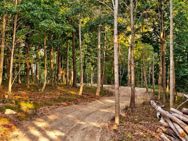 2480 Claylick Rd, Whites Creek, TN 37189