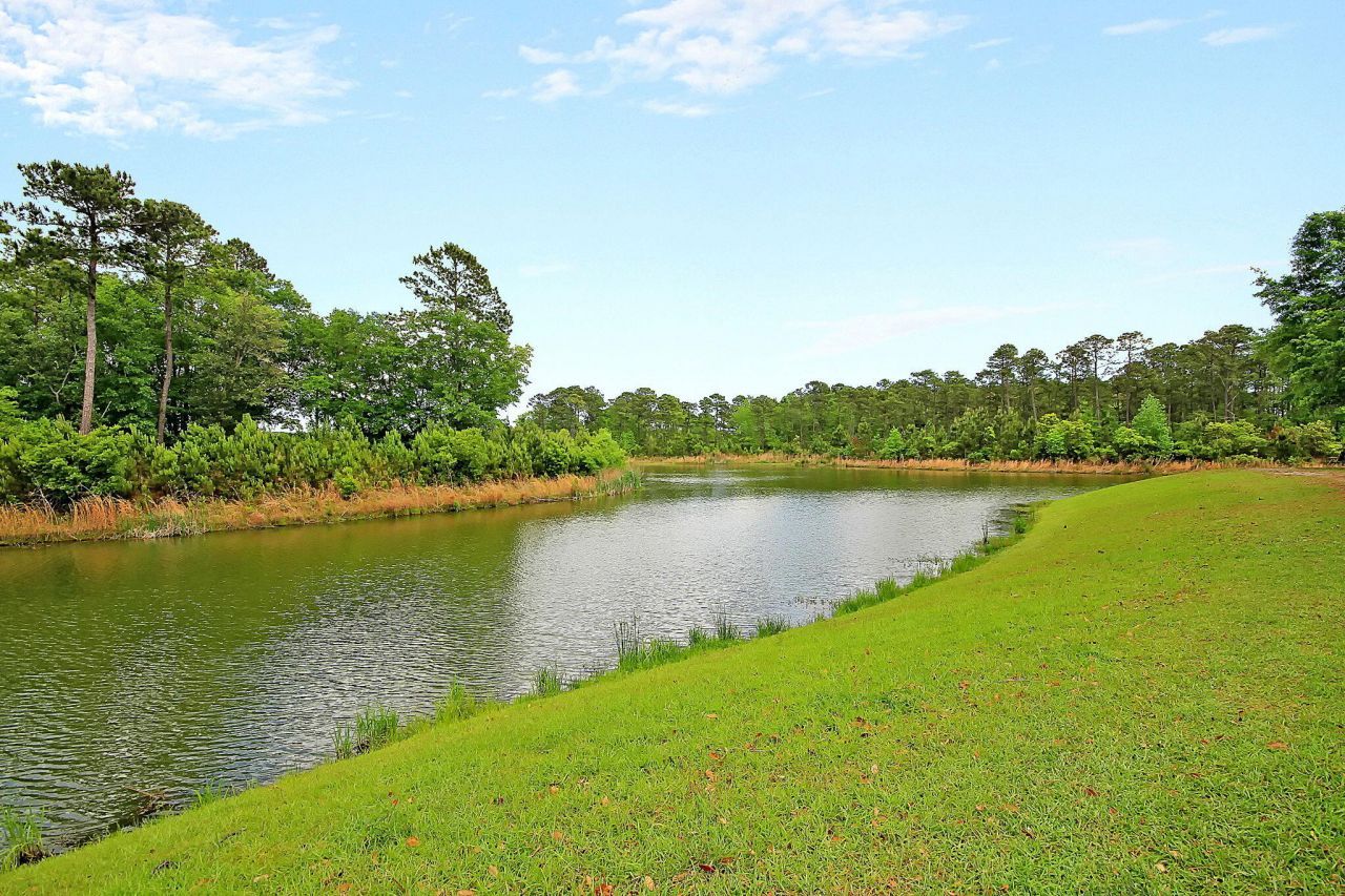 1732 Bee Balm Road Photo 39