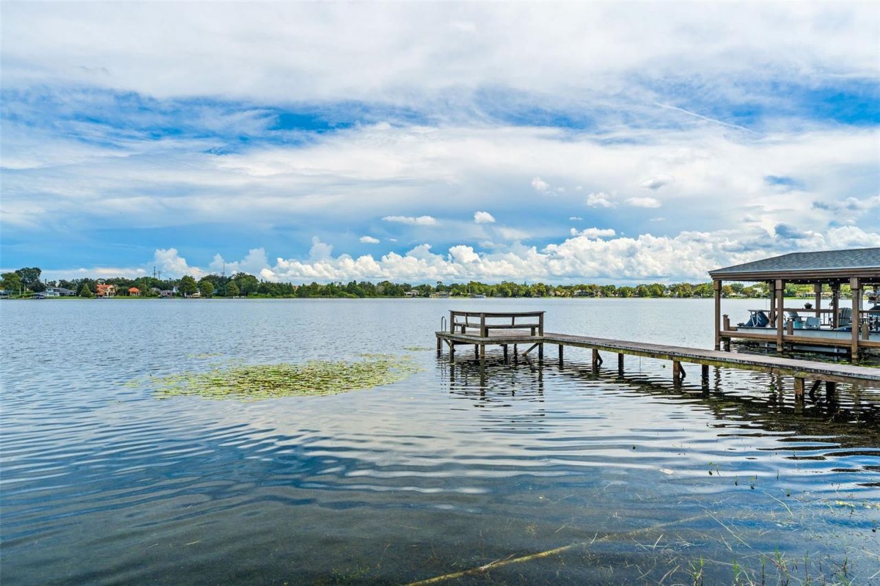 3203 Ardsley Drive, Orlando, FL 32804 Photo