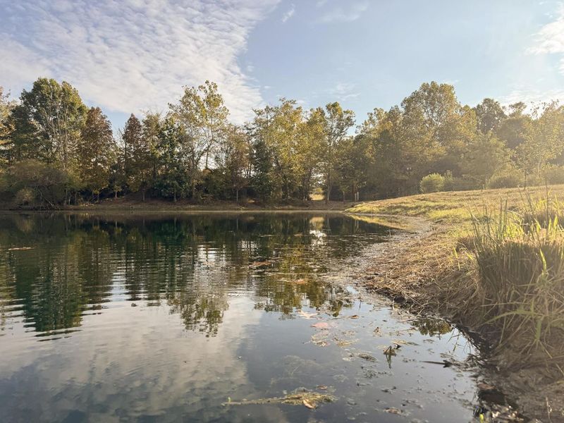 413 Gallipolis Road, Unit (Clearview, Oak Hill, OH 45656 Photo 39