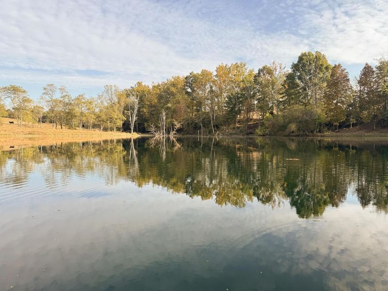 413 Gallipolis Road, Unit (Clearview, Oak Hill, OH 45656 Photo 41