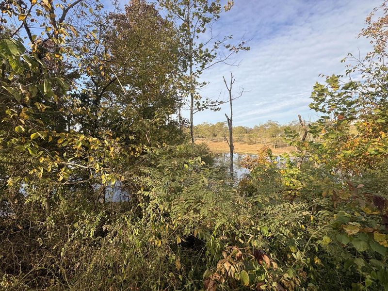 413 Gallipolis Road, Unit (Clearview, Oak Hill, OH 45656 Photo 52