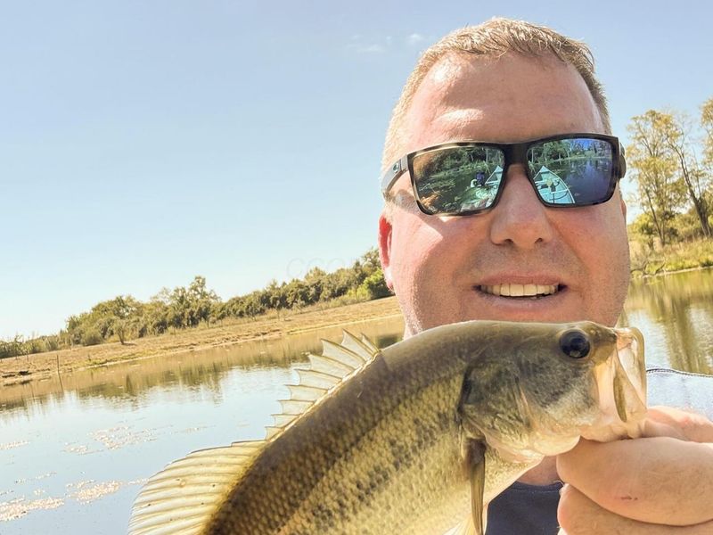 413 Gallipolis Road, Unit (Clearview, Oak Hill, OH 45656 Photo 6