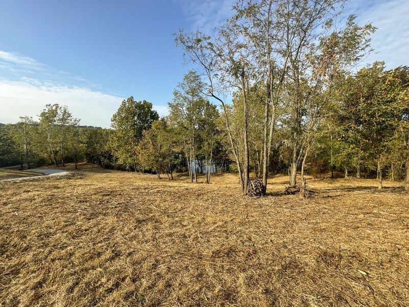 413 Gallipolis Road, Unit (Clearview, Oak Hill, OH 45656 Photo 63