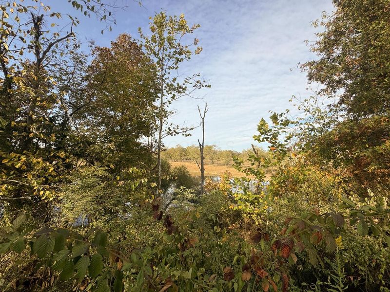 413 Gallipolis Road, Unit (Clearview, Oak Hill, OH 45656 Photo 85