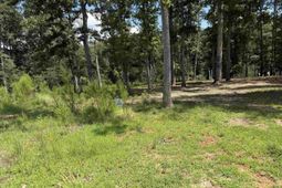 Lot 34 Shoreview Drive  photo 4