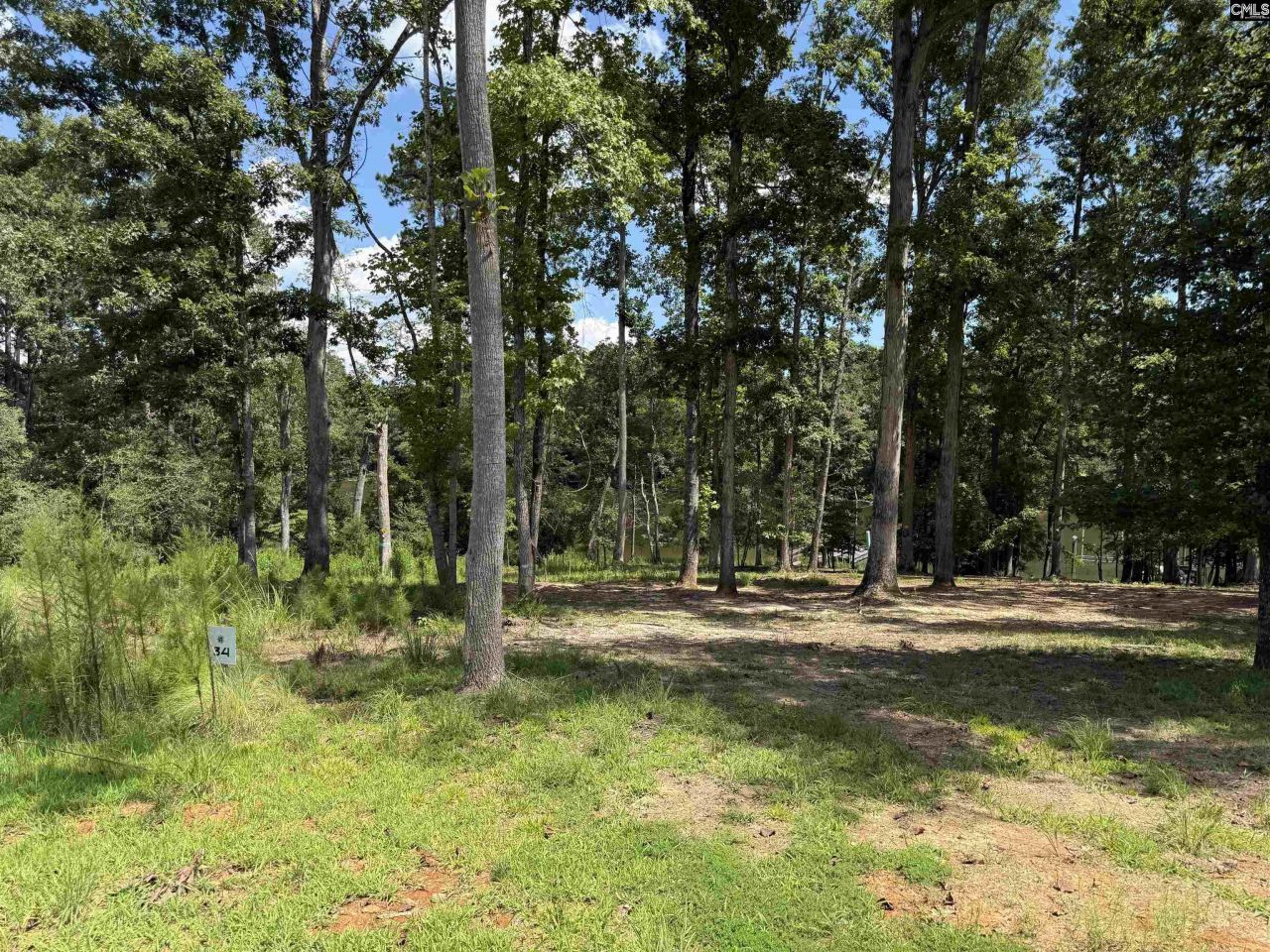 Lot 34 Shoreview Drive  Photo 4