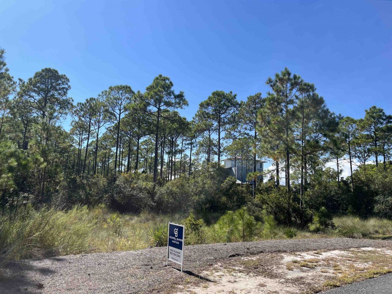 130 Turkey Point , Lot #Lot 366-E, Saint Teresa, FL 32358 Photo