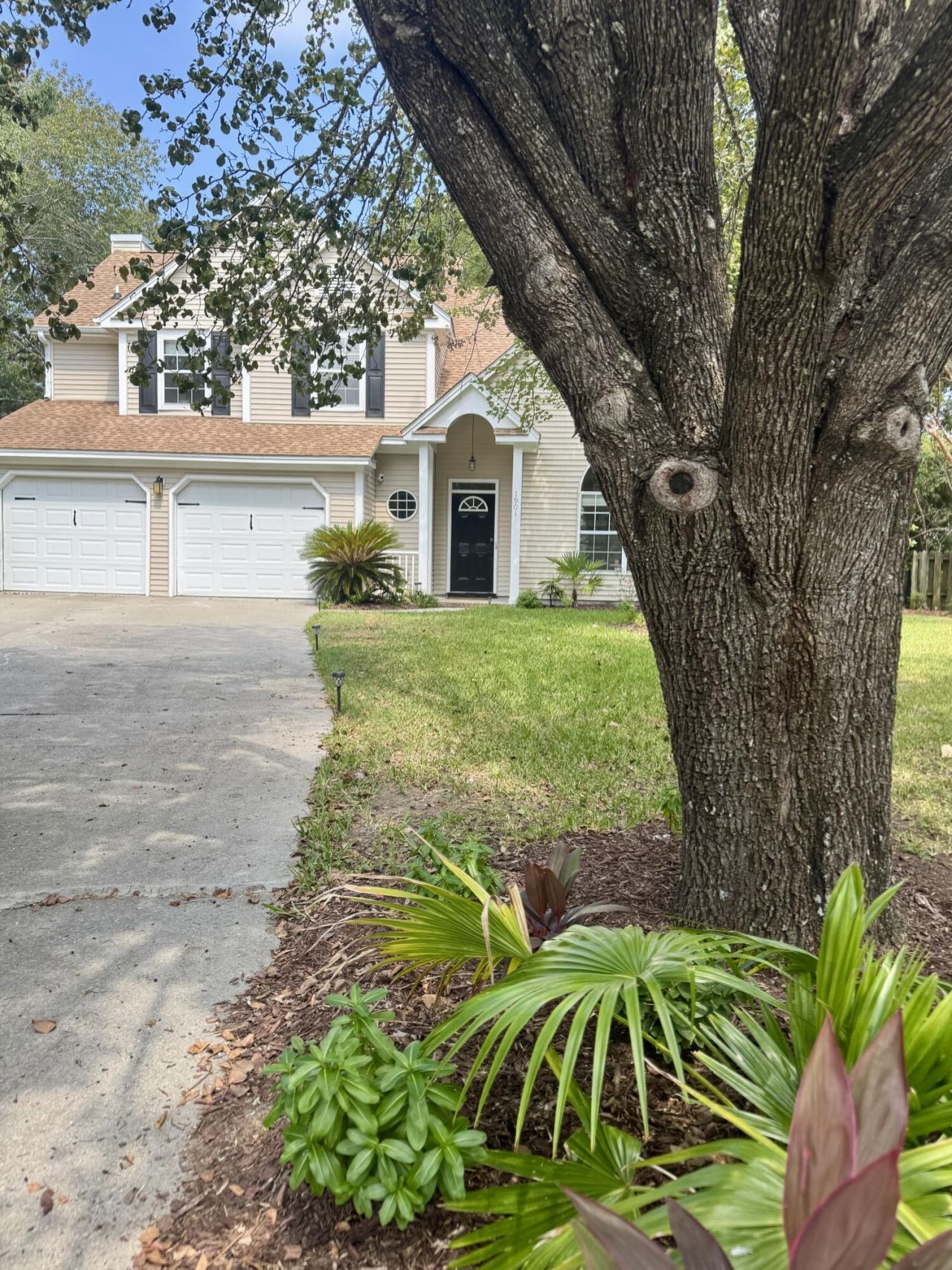 1901 Oak Tree Lane Photo 7