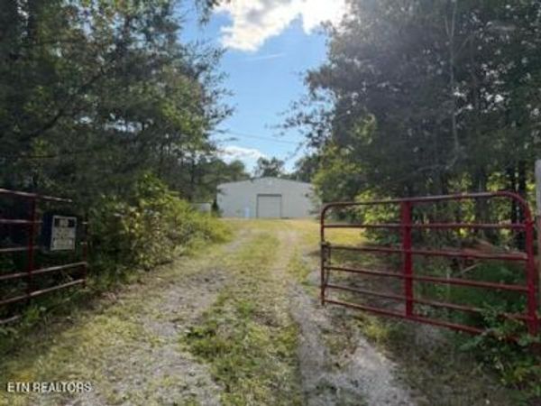 Reid Watson Rd, Deer Lodge, TN 37726