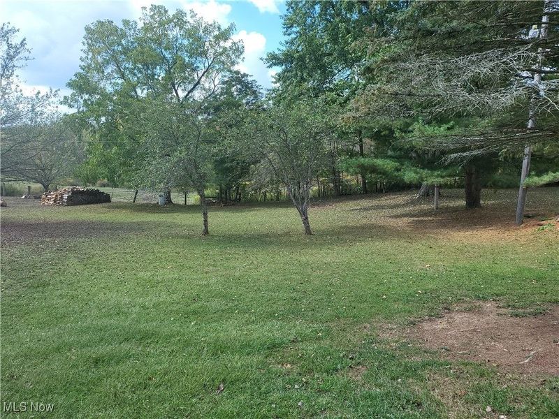 60490 Main Street, Jacobsburg, OH 43933 Photo 34