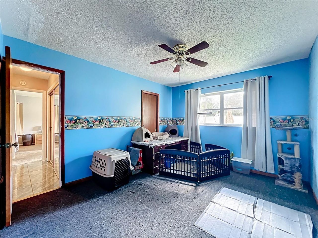 4612 NE 21st Court, Ocala, FL 34479 Photo