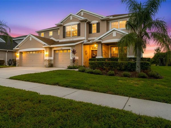 2330 NESSLEWOOD DRIVE, WESLEY CHAPEL, FL 33543