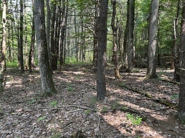 L12.100 Willsie Road, Berne, NY 12023