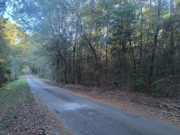 NHN Azalea Ln., Ovett, MS 39464